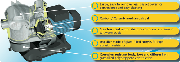 Davey Typhoon Pool Pump C75M/C100M/C150M/T150M/T200M/T300M