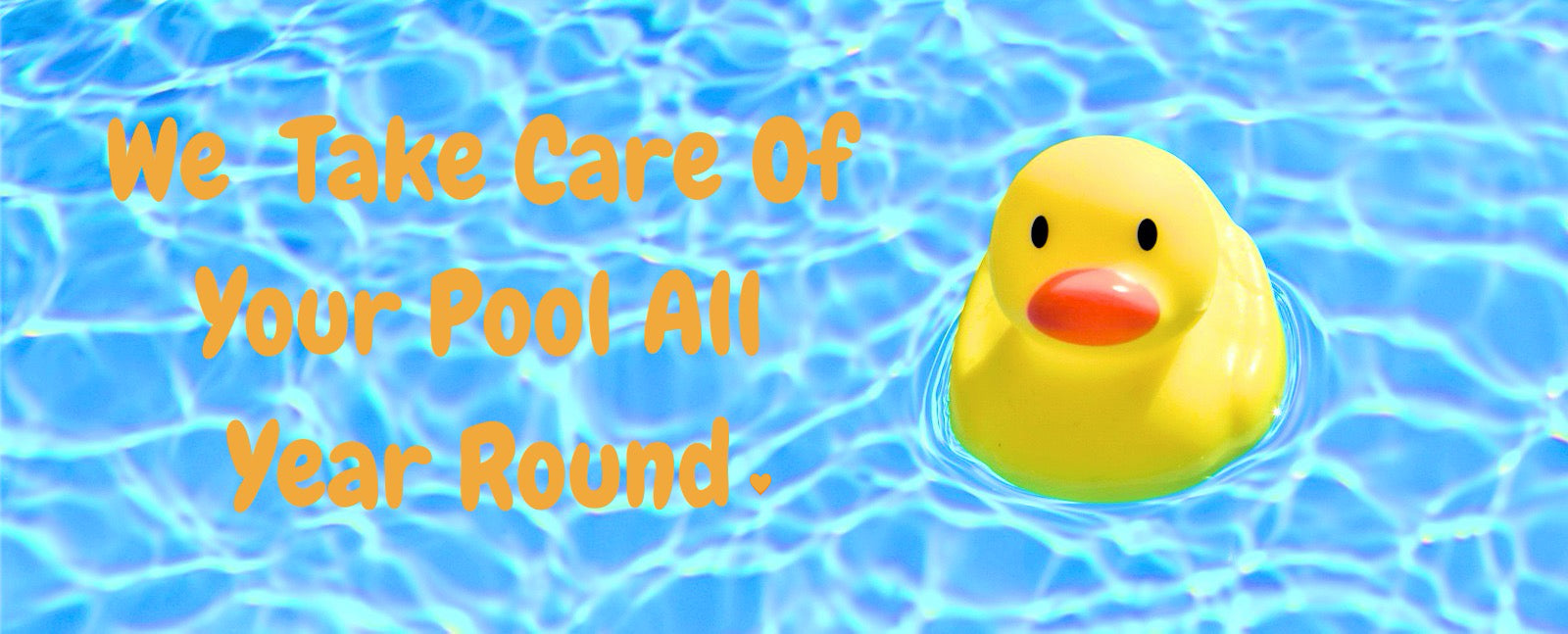 Zephyr Pool and Spa Discount Supplies Zephyr Pool Supplies